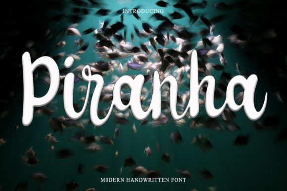 How Piranha Font Elevated My Campaign Design