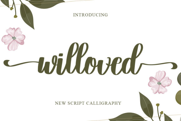 How Willoved Transformed My Brand’s Visual Identity