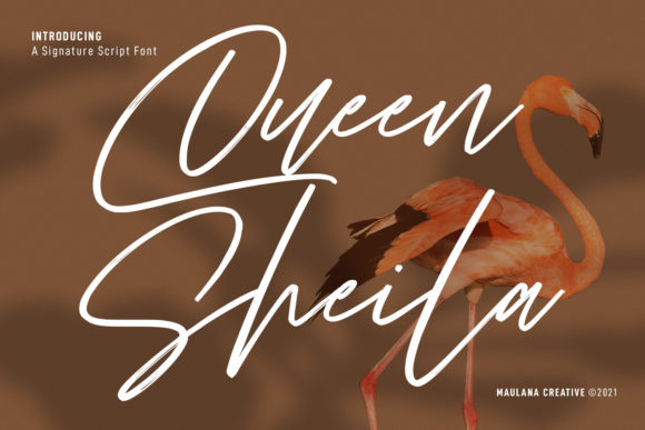 Queen Sheila Font for Modern Branding and Marketing